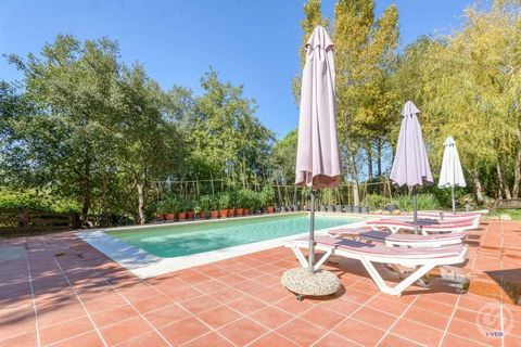 Spectacular house with large pool and garden, possibility of 2 houses in the same house The house has 2 independent entrances and 2 kitchens, which opens the possibility of having 2 houses in the same house. This house has been built taking into acco...