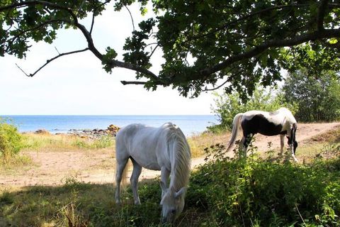 One of Bornholm's best locations At the holiday park Østersøen Ferielejligheder you get one of Bornholm's best locations. Here you are directly at Svaneke Harbour. The old merchant's farm from the 18th century has been converted into beautiful holida...