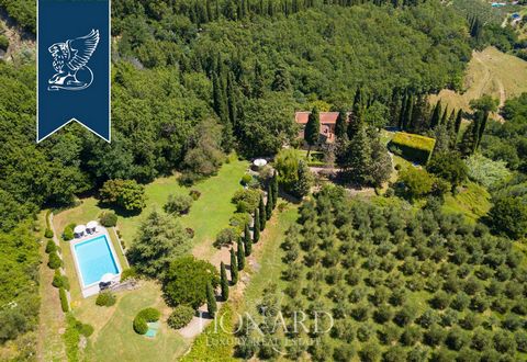 On the Chianti hills there is a magnificent suburban estate, built in 1600. The area of ​​the house is 450 square meters, and the site occupies 8.4 hectares. The main building is made in a classic Tuscan style of stone and is surrounded by a pictures...