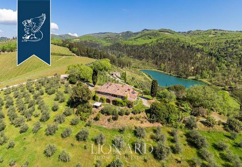 This fabulous luxury farmhouse for sale is surrounded by Tuscany's leafy countryside, its typical olive trees and fine wines. Its private park measures 110 hectares: 101 hectares of forests, 6 hectares of vineyards, 2 hectares of olive groves an...