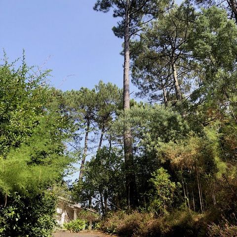 Charming contemporary villa located at the top of the pines, on the heights of the village of Soorts. This single-storey villa of around 110 m2 has wooded grounds of over 2,000 m2. It is composed as follows: - an entrance opening onto a large living ...