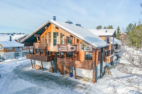 This luxurious two-story alpine apartment right in the heart of Levi offers great facilities for both corporate hospitality, rental use, and personal holiday use. Five bedrooms, a bright and high kitchen and dining area, a loft-style living area with...