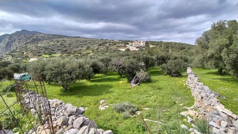 Located in Agios Nikolaos. A plot of building land, 2877 square meters in size, near the village of Vrouchas, north of the seaside resort of Plaka, Elounda. The plot has immediate access to the asphalt road that leads from Plaka to Vrouchas. Power an...