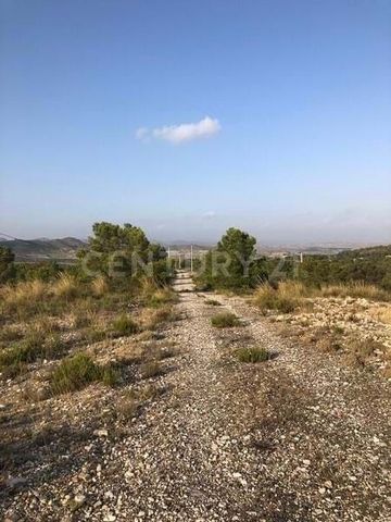 Are you looking to buy land for sale in Lorca? Excellent opportunity to acquire this land for sale with an area of 20,029 m² located in the town of Lorca, province of Murcia. It has good access and is well connected. Would you like to receive more in...