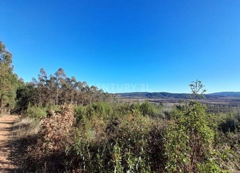 Agricultural land of 12 Ha, consisting of three plots, one of which has almost 11 Ha. Land located in Capinha (Fundão), in an area recognized and used in the production of large peach and cherry orchards, namely. Very fertile land suitable for Pomere...