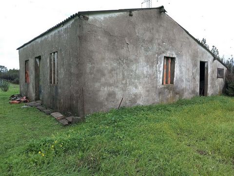 Excellent farm all walled and fenced with 17800m2, located in the village of Amarelos 