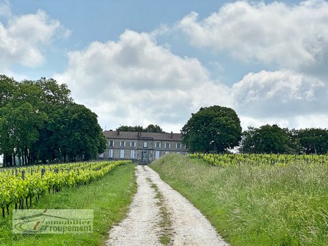 This magnificent wine château dating from the 16th and 19th centuries will seduce you with its authentic charm. The property is laid out around a main courtyard of almost 2,500 m2 and is divided into several sections. The first section is the chateau...