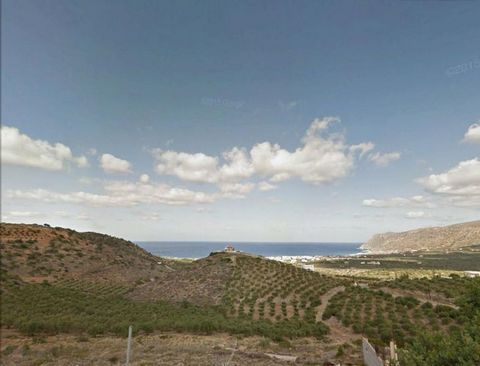 Located in Agios Nikolaos. This is a plot of 750 m2 on a hill side that faces the Aegean Sea and the coastal village of Milatos Beach, Lasithi, Crete. The plot has a building licence for a house of 100 m2 with swimming pool. Water, power and phone li...