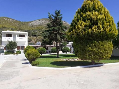 House & 4 studios for sale in Skyros Island / Agalini area close to Aspous, 800m from the beach. On a plot of 5.500sqm with many olive oil trees. Composed of : - House of 160sqm composed of 4 bedrooms, living room, kitchen, bathroom, wc, terrace, wat...