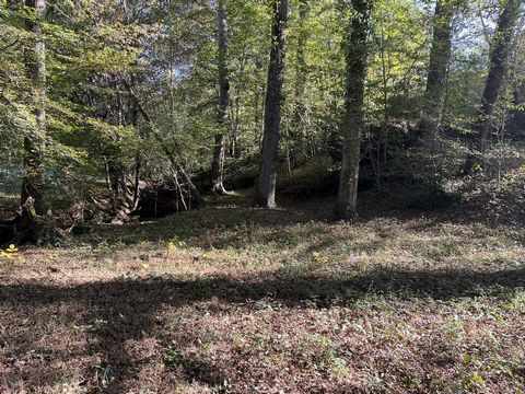 photo no. 10
