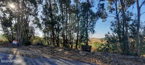 Land for sale, area 4250 m2 located in the vicinity of Rosmaninhal municipality of Idanha-a-Nova, with an area of 4250 m2, ideal for agriculture or pastorality, with some eucalyptus trees. Good access, the land borders with a tarmac road. Exempt from...