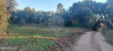 Land in Mouriscas, Abrantes Land with 73,360 m2 located in Vale de Matos, near the iron fountain. This land is essentially forested with a large amount of cork oaks and pines. Unobstructed area and close to chapel.