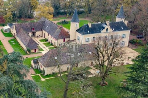 Superb and beautifully renovated French chateau, close to Le Blanc, set in the beautiful Parc naturel regional de la Brenne. This beautiful property, tastefully renovated in 2007, consists of a main residence, a guardian's house and numerous outbuild...