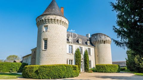 In excellent condition throughout and full of authentic character and charm, this superb 7 bedroom chateau, which the current owners have contributed to creating a stunning home over the last 10 years, which provides undeniable comfort with its effic...