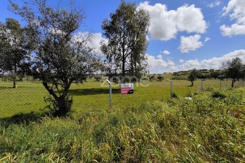 Identificação do imóvel: ZMPT555371 Wonderful agricultural land of 1.4 hectares, located just one minute away from Vila Ruiva. This land is completely fenced, with areas dedicated to traditional olive groves, a borehole for water supply and an electr...