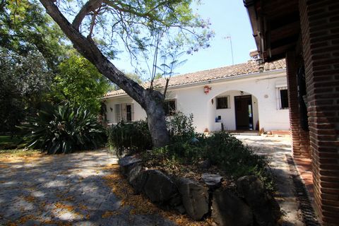 Finca La Rana is in the lovely town of Los Barrios, just 15 minutes from Gibraltar, as well as ten minutes to the nearby beaches, under half an hour to the world-class golden sand beaches of Tarifa for kitesurf / windsurf and not much more in the oth...