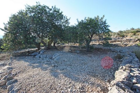 Dieses herrliche Grundstück zum Verkauf von 11687 m2 hat einen spektakulären Blick auf das Tal befindet sich in der Nähe von Benimeli Costa Blanca Alicante Es könnte ein isoliertes Einfamilienhaus Chalet gemacht werden Es ist ideal für diejenigen die...