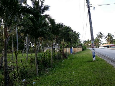 Flaches Land, direkt am Strand Poza de Bojolo, derzeit mit Kokosnuss bepflanzt, ohne Infrastruktur. Der Preis variiert für den Teilverkauf, nicht weniger als 50 Tausend Meter. Es gibt 379 Bodenaufgaben.