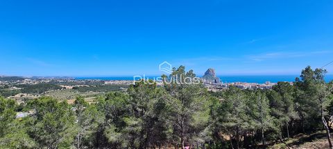 Es ist ein 2000 m2 großes Grundstück in Oltamar in Calpe. Es hat einen Panoramablick vom Berg Dénia, es gibt sogar sonnige Tage, an denen Sie die Insel Ibiza und Formentera sehen können. Nur 3 km vom Strand von Arenal de Calpe entfernt. PlusVillas is...