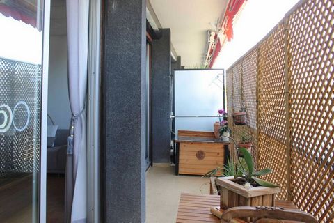 photo no. 16
