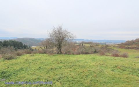 photo no. 1
