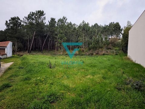 Land - Bidoeira de Cima, Leiria Land with about 1,942 m2 located in Trapla, Bidoeira de Cima (Leiria). Composed of trees and pine forest NOTE: The information provided, even if accurate, does not dispense with its confirmation, nor can it be consider...