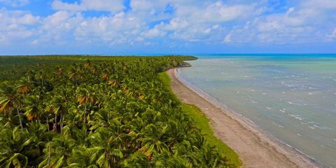 MICHES, GRUNDSTÜCK MIT STRAND VON 122.000 M2, Preis neg: 30 USD/mt Direkt am Strand: 210 mt In einer traumhaften Umgebung befindet sich ein einziges Grundstück an der Playa Morro in der Gemeinde Miches. Es ist die beste Option in diesem Gebiet für di...