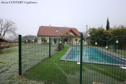 photo no. 1