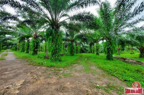 This is a very large land plot for sale at 111-2-97 Rai large, it is 178,788 sqm meters. The land is located next the the main road with the length along the road at 116 meters. The land has three generations of 6, 10, 20 year old palm plantation and...