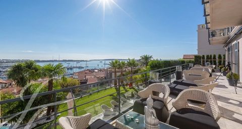 Im Herzen des historischen Viertels bietet dieses wunderschöne Anwesen aus Stein luxuriöse Annehmlichkeiten und ein außergewöhnliches Panorama auf das Meer, den alten Hafen und die Bucht von Cannes. Die Immobilie wurde auf einem ca. 700 m² großen Gru...