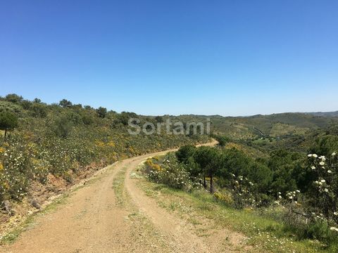 Terreno rustico ad Alcoutim, di fronte al fiume Guadiana. Il fiume è navigabile con una barca a vela di classe C. Ideale per chi ama stare nella natura. Alcoutim è un piccolo villaggio all´interno dell´Algarve, con poco meno di 500 abitanti. È bagnat...