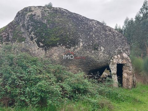 Terreno com 6ha, localizado numa zona de plantação de eucaliptal, tem uma charca, alguns carvalhos e  azenheiras.  O terreno tem capacidade de construção de 0,05 da sua área, podendo dar origem a empreendimentos turísticos, agroturismo e turismo em e...