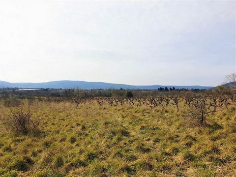 34800 Octon-Lac du Salagou- 15 Kms de Clermont l'Hérault 34800 Rare, beau terrain plat avec vue dégagée, sans vis à vis et hors lotissement. Superficie totale de 1959 m2, dont 1082 constructibles. Viabilisé entièrement Raccordé à l'eau du Lac, pour l...