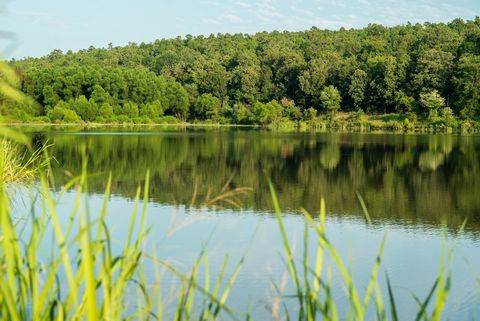 Pilot Mountain Lake is a 1,645-acre tract that borders over 340,000 acres of the Ouachita National Forest. Nestled in the middle of the tract is a 22-acre lake built in the 1960s as part of the Poteau River Watershed Project. Square Rock Creek runs t...