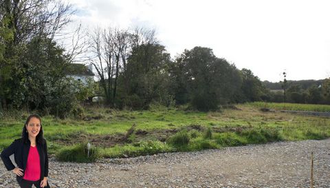 photo no. 1