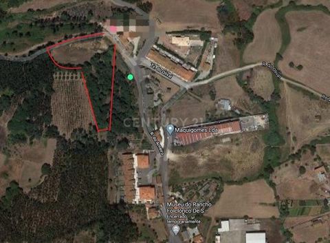 Descubra o seu refúgio perfeito na natureza com este magnífico terreno de 6.238 m², localizado no Milharado, concelho de Mafra. Situado em uma área tranquila e cercada pela beleza natural, este terreno oferece a oportunidade ideal para construir a mo...