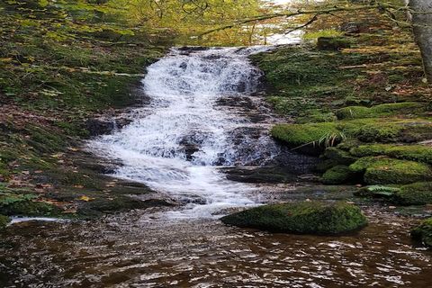 Przyjemny chalet dla 6 osób, na wysokości 750m. Chalet stoi całkowicie pod znakiem wygody, z prawdziwym, drewnianym tipi, gdzie rodzina czy przyjaciele mogą spędzić przyjemne chwile na organizowaniu wieczorów przy grillu, fondue-, raclette. Otoczenie...