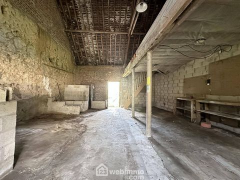 photo no. 16