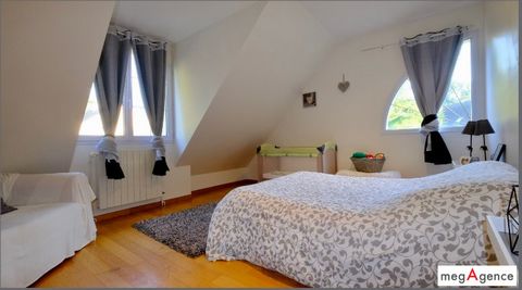 photo no. 12