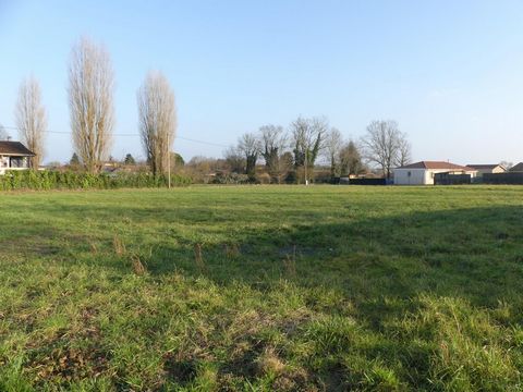 photo no. 5