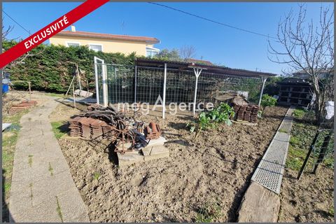 photo no. 13