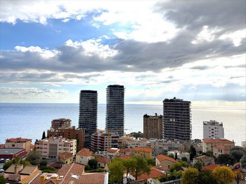 Appartement 2 Pièces dernier étage à vendre - Beausoleil