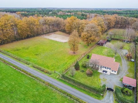 Maison 4 CHAMBRES- 1,4HECTARES - BOXES- CHAMPS ET CARRIERE