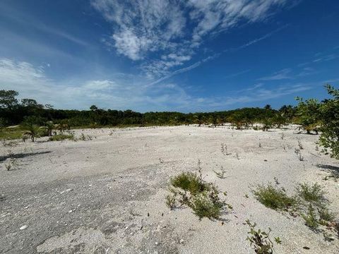 Dieses außergewöhnliche Eckgrundstück befindet sich in idealer Lage für die gewerbliche Entwicklung, nur fünf Minuten von den beliebten Vierteln Bliss Beach und Caye Colony entfernt und direkt gegenüber dem bevorstehenden Eigentumswohnungsprojekt Pue...