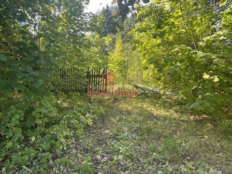 Арт. 19116208 Предлагаю Вашему внимаю земельный участок 17 соток, по адресу: Сергиево-Посадский район, г. Хотьково. Назначение земли: ИЖС. Участок правильной формы, ровный, расположен в городской черте. По соседству замечательные соседи владельцы кот...