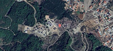 Investment Land Close to All Amenities in Yeşilüzümlü Fethiye The land for sale is located in Yeşilüzümlü region of Fethiye, Muğla. Yeşilüzümlü offers a tranquil life away from the noise of the city with its nature surrounded by pine forests and its ...