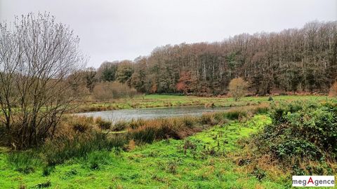 Municipality of Ham in Mayenne, Sandrine MURATI offers you 5 hectares of land with marshes, fed by a spring. Cabin on site with bedding, solar panels (batteries to be changed) - Possibility of connecting a generator. Duck and wild boar hunting enthus...