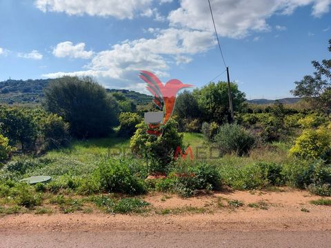 Fantastico terreno rustico di 2600m2 situato alla periferia di Silves, in una zona essenzialmente agricola. Il terreno è fantastico per diversi motivi: La sua geometria è rettangolare, il che lo rende facile da esplorare; Un lato del rettangolo è riv...