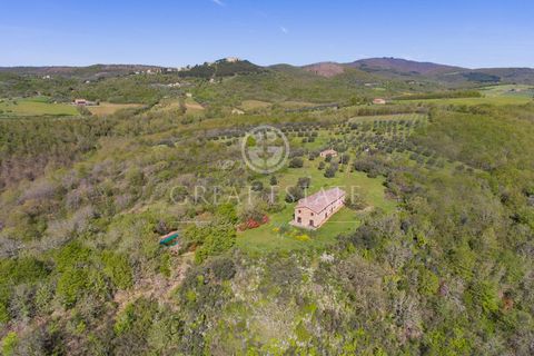 In the Montegiove area, we offer an ancient farmhouse from the 1700s. The property is about 550 square meters (a.s.l.), surrounded by nature. It enjoys a magnificent view of the countryside and the Castle of Montegiove. Olive groves and woods surroun...