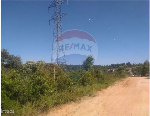 Located in the parish of Casais e Alviobeira in the municipality of Tomar, we find a land with 21,440 m2, rustic forest. It is located in a very quiet area in the village of Casais, where you can find the quiet you are looking for. All this comfort 7...